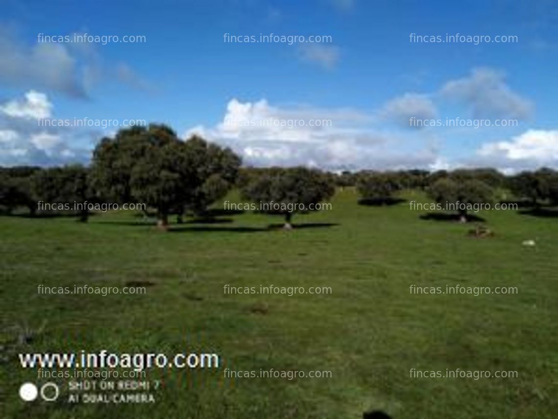 Fotos de A la venta En venta: Salamanca a 28 km. Guijuelo 37km. Finca 47 hectáreas en Vecinos. Sin edificaciones. 1 charca.