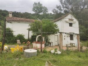 En venta  ref 302 - finca rústica con casa y molino en algatocín, málaga