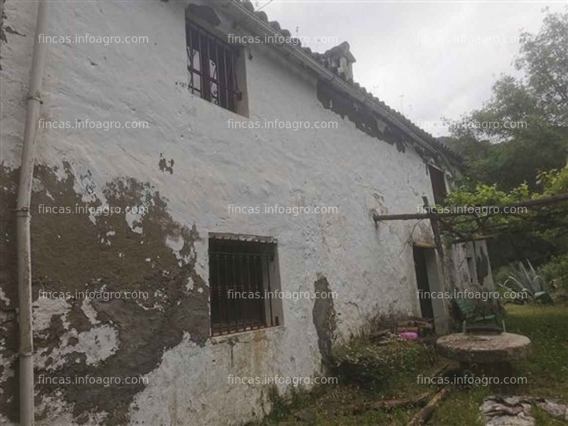 Fotos de En venta  ref 302 - finca rústica con casa y molino en algatocín, málaga