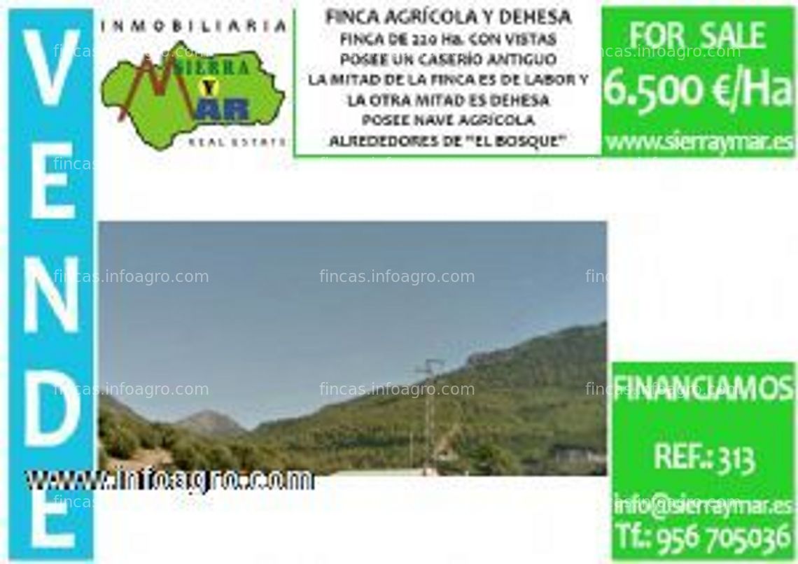 Fotos de A la venta finca agricola y dehesa