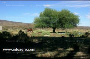 En venta  argentina, oferton 10.000 hectáreas en la patagonia a 200.000€