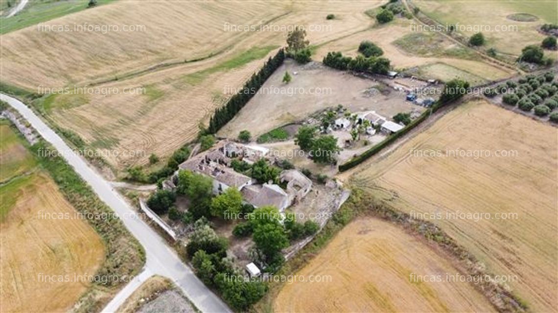 Fotos de En venta  ref. 199 – finca con cortijo para restaurar y terrenos de siembra en los villalones,ronda, málaga, andalucía