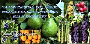 Vendo terrenos aptos para proyectos agro-industriales y mas.