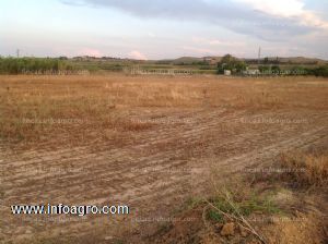 Se vende finca rústica valpertuna tudela