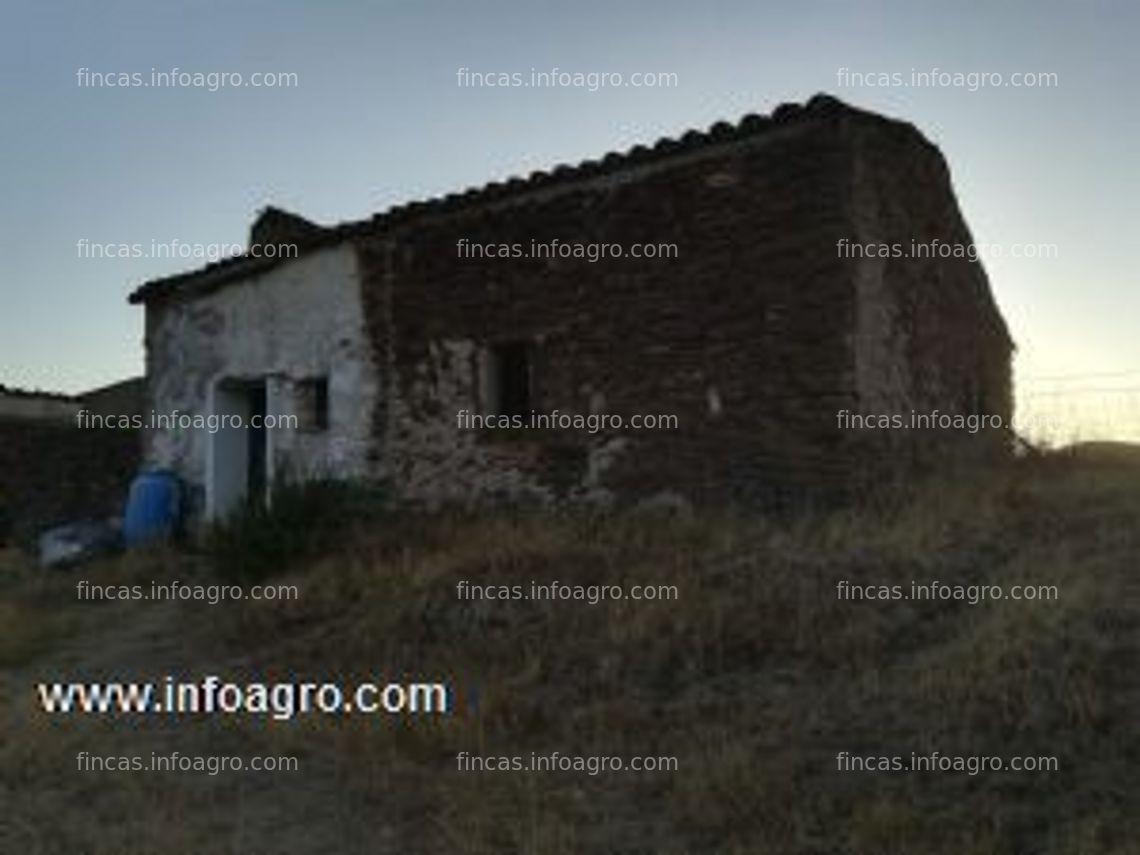 Fotos de En venta  finca de 19 hectareas