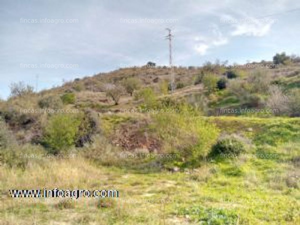 Fotos de A la venta finca para subtropicales a 3 km del mar