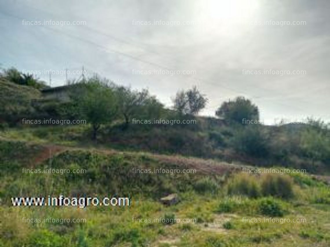 Fotos de A la venta finca para subtropicales a 3 km del mar