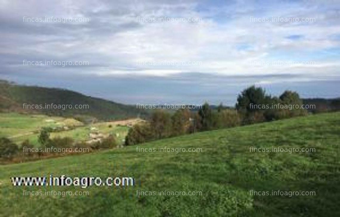 Fotos de En venta  excelente finca edificable en la costa asturiana