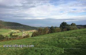 En venta  excelente finca edificable en la costa asturiana