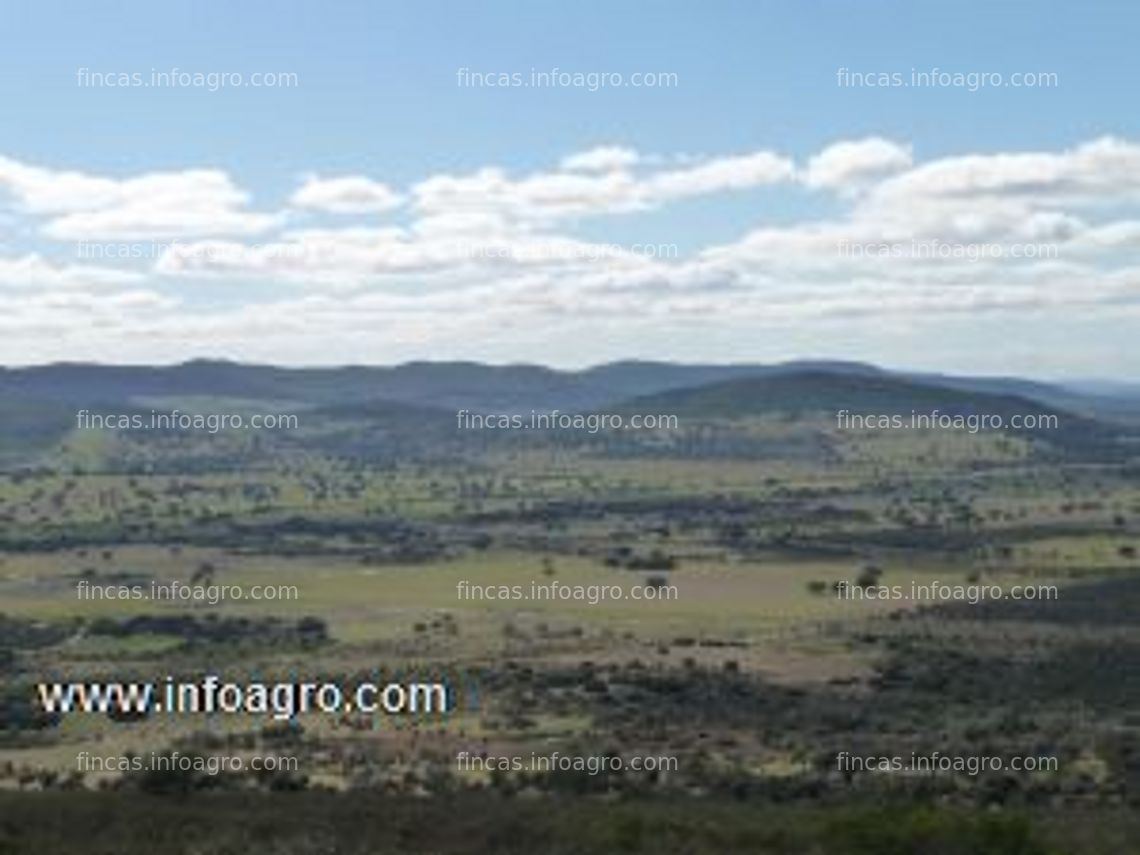 Fotos de A la venta dehesa en casas de don pedro