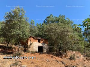 En venta  de finca rústica, 6900 m2 con una pequeña casita. licencias pozo y camino