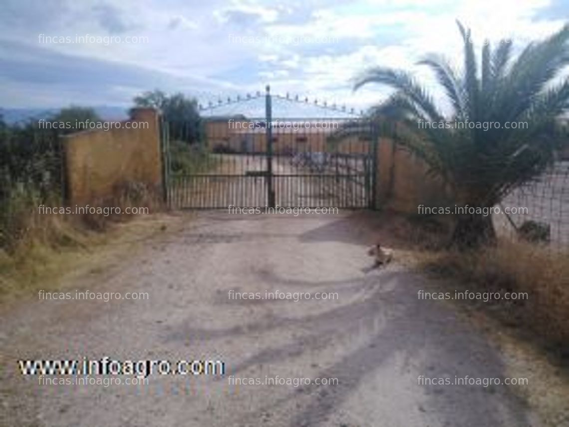 Fotos de A la venta finca de 7 hect. regadio, luz, agua potable de pozo y casa