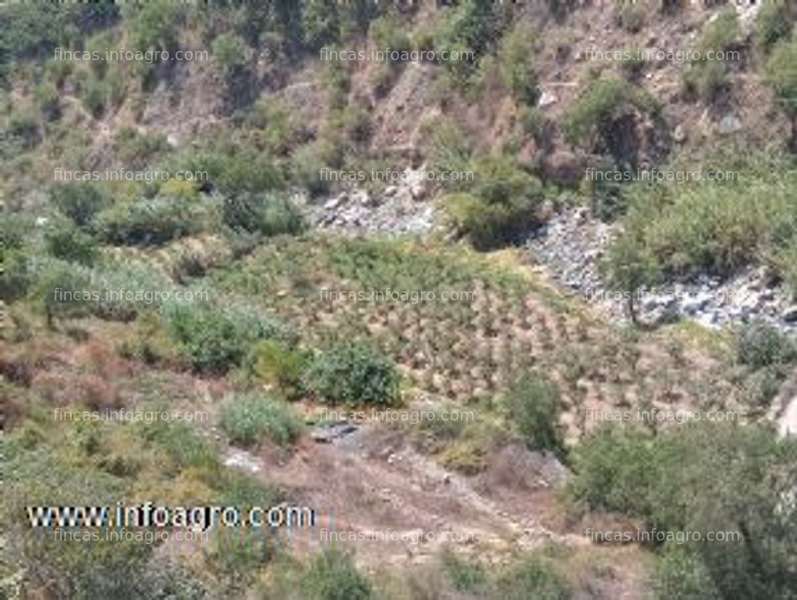 Fotos de Vendo terreno en acos