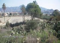 Fotos de Se vende finca se siembra