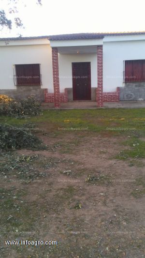 En venta  olivar,tradicional,