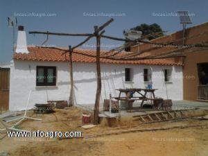 A la venta finca de 4 ha y casa rural en los Pocitos, Villanueva de los Castillejos