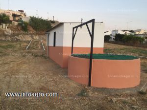 En venta finca rústica, con excelente tierra de cultivo, perfecta para huerto ecológico, en pleno pleno centro de olivares