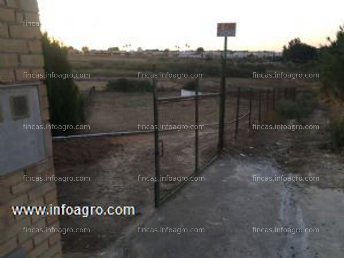 Fotos de En venta  finca rústica, con excelente tierra de cultivo, perfecta para huerto ecológico, en pleno pleno centro de olivares