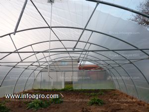 A la venta invernadero de 10* 30 mts (ancho y largo)