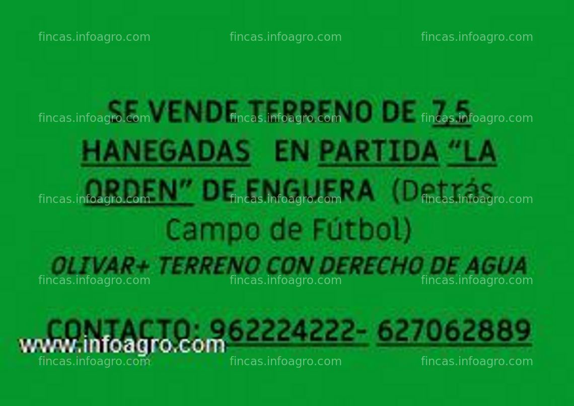 Fotos de En venta  terreno de 7,5 hanegadas en enguera, valencia