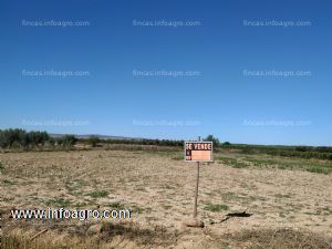 A la venta finca agricola en tulebras