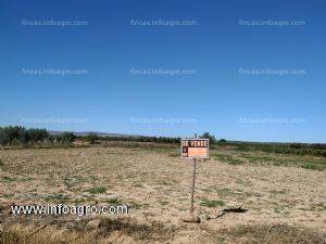 A la venta finca agricola en tulebras