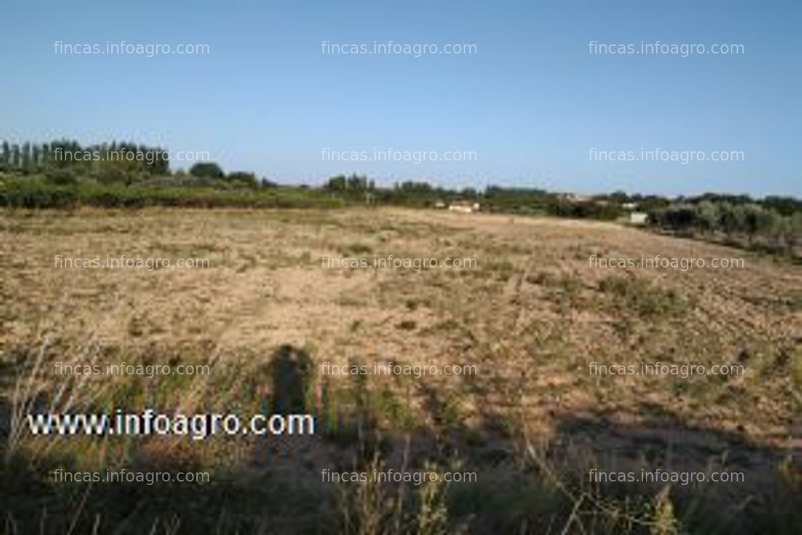 Fotos de A la venta finca agricola en tulebras