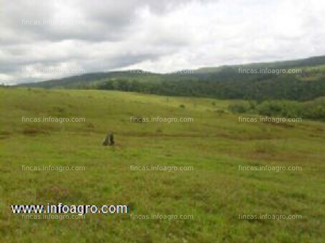 Fotos de A la venta finca ganadera,  agricola