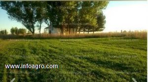 A la venta terrenos rústicos. el provencio (cuenca)