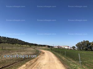 A la venta finca rústica en belmez (córdoba) de 460 ha (regadío y dehesa en explotación), dispone de varios cortijos con tos