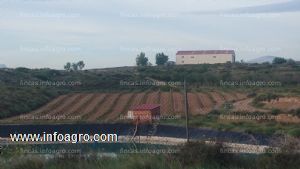 Vendo finca de viñedo en la d.o. campo de borja (zaragoza)