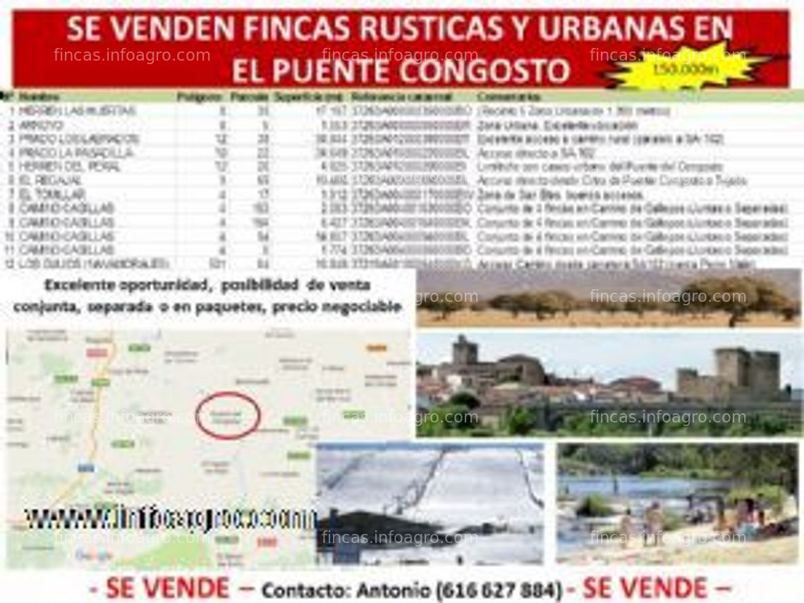 Fotos de En venta  de fincas rústicas y urbanas en punte congosto (salamanca)