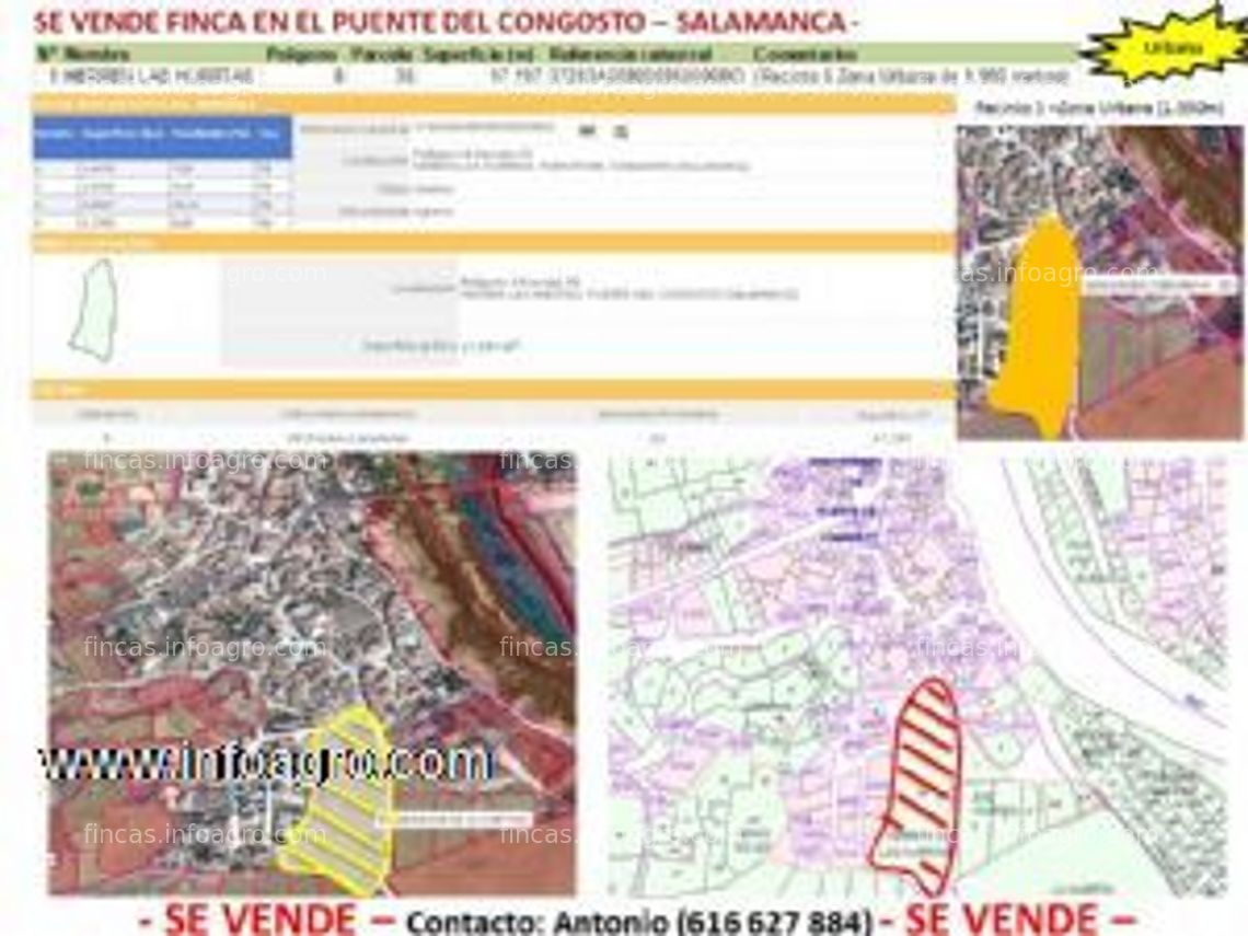 Fotos de En venta  de fincas rústicas y urbanas en punte congosto (salamanca)