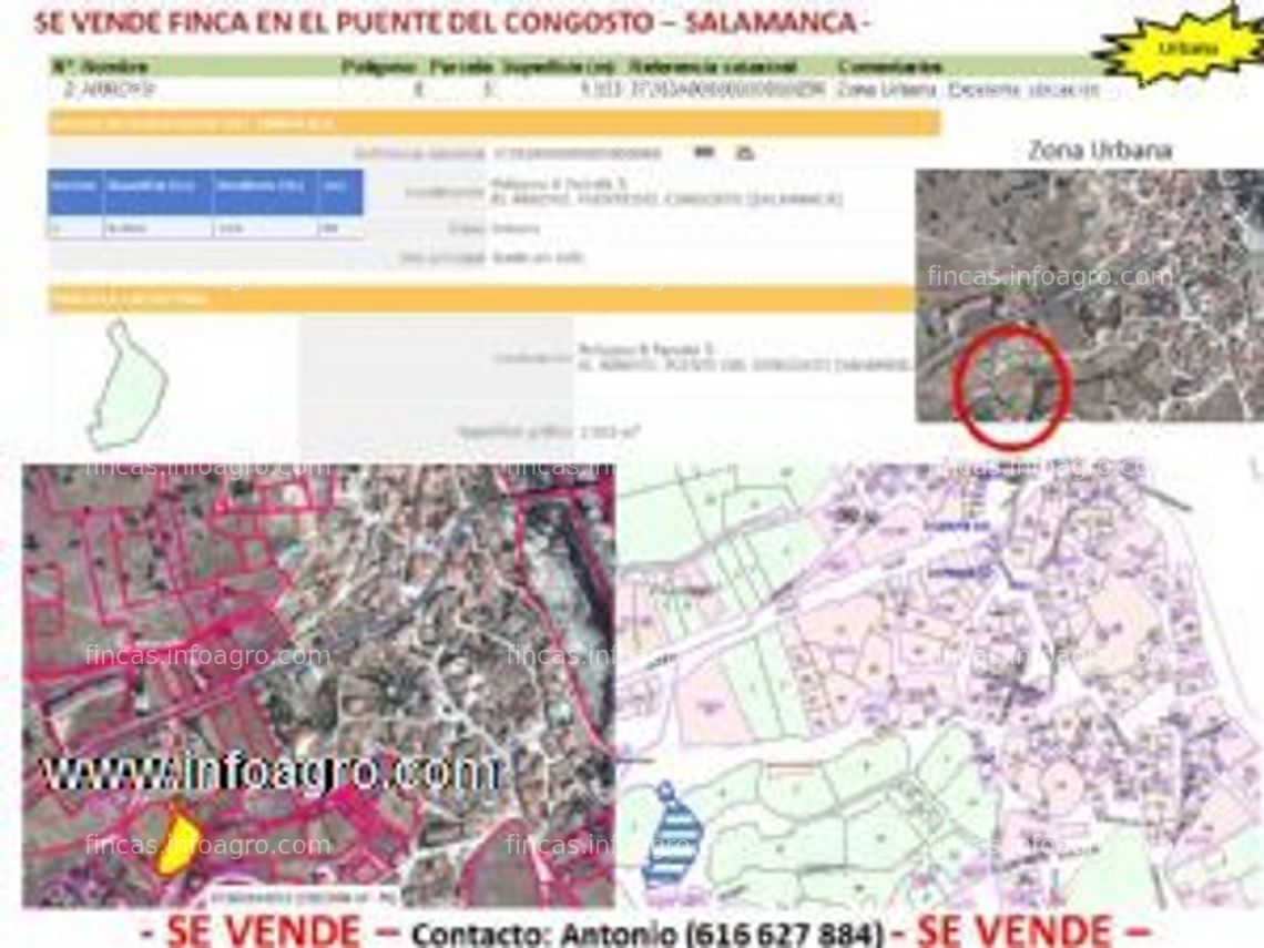 Fotos de En venta  de fincas rústicas y urbanas en punte congosto (salamanca)