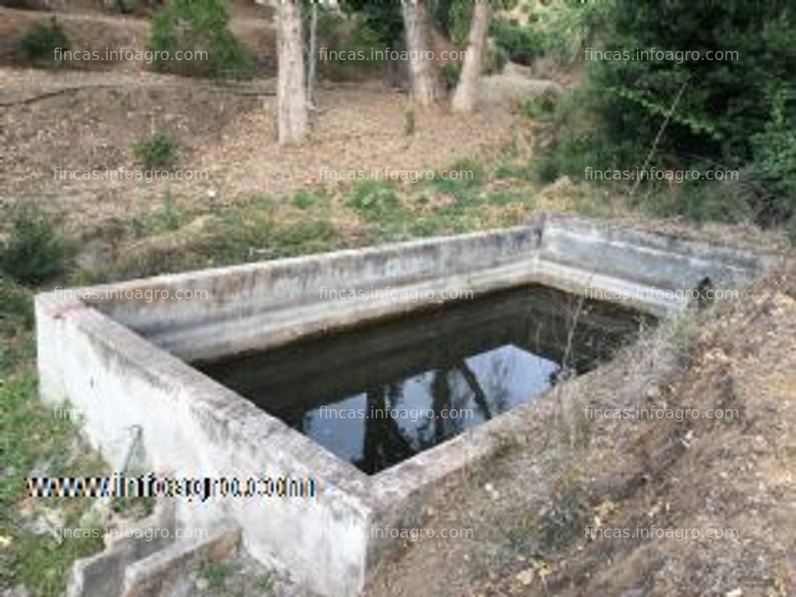 Fotos de Vendo finca de regadío en el arroyo-alberquilla, guaro