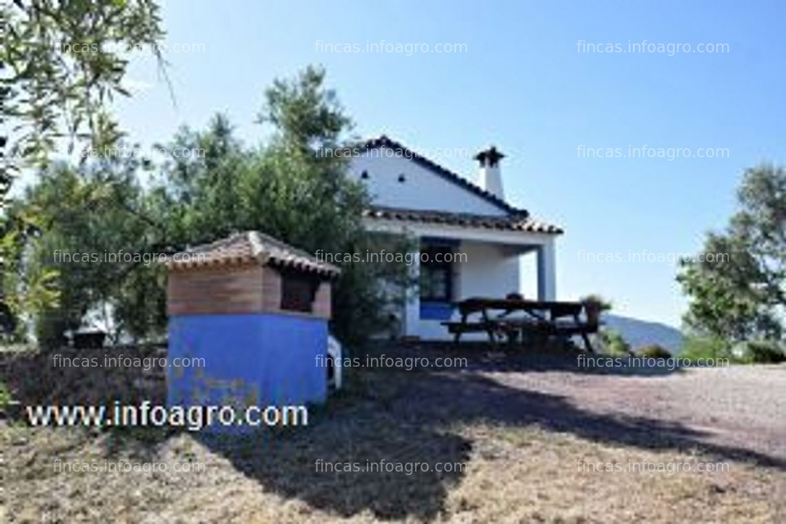 Fotos de A la venta ¡¡finca de 2,50 ha!! excelente oportunidad!!