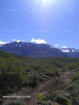 Vendo terreno en el bolson rio negro, 29 ha o parcela de 6 ha,titulo de propiedad e impuestos al dia