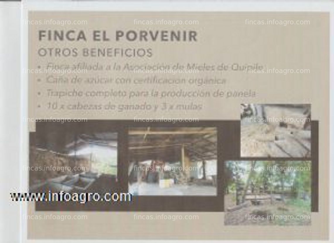 Fotos de Se vende finca con cultivos y producción