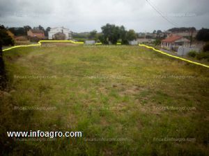 En venta  finca rústica (urbanizable) sisán, ribadumia