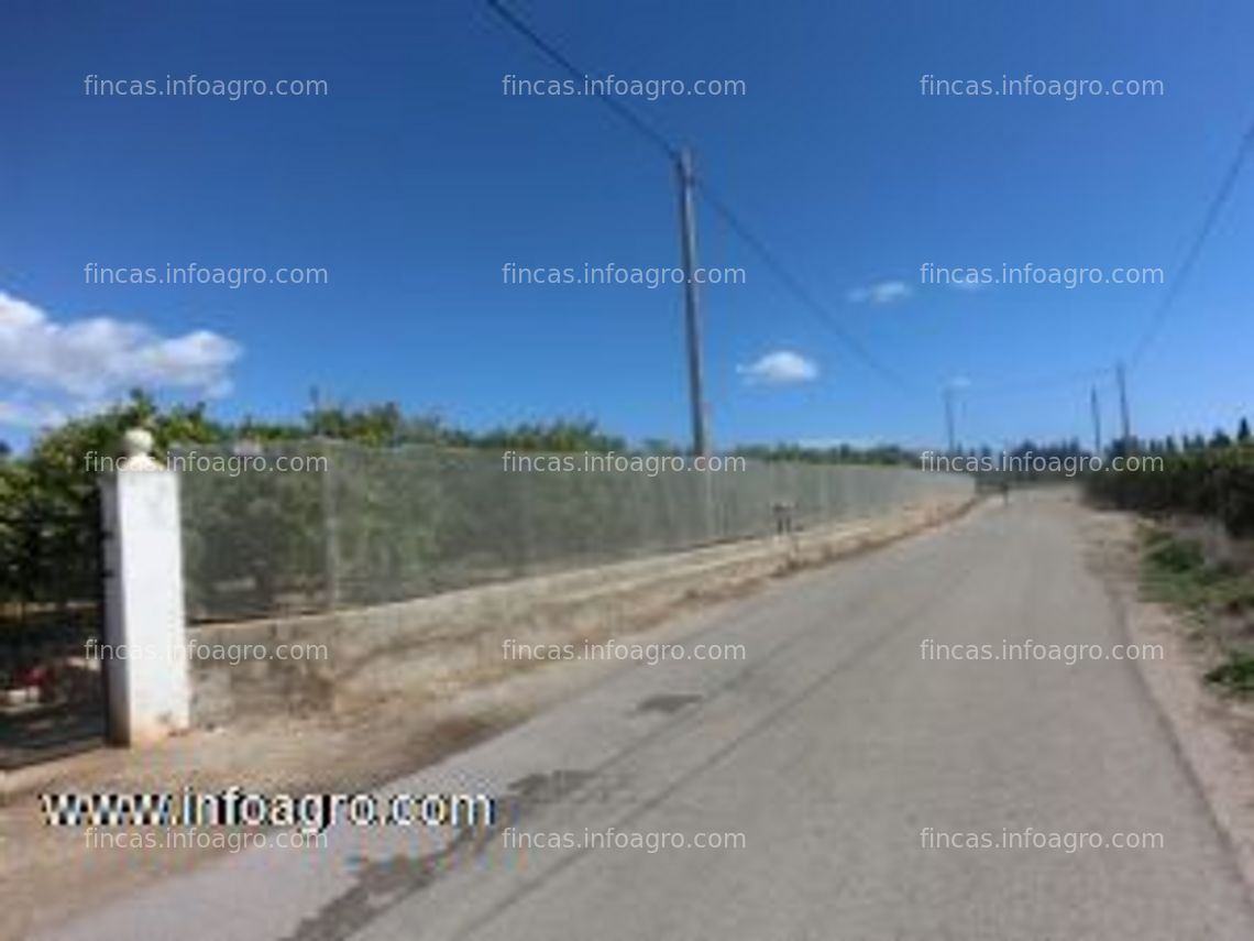 Fotos de Vendo oportunidad¡¡¡¡campo de naranjas de 11 hanegadas en plena produccion. naranjas variedad navelane y valencias. tiene luz, agua, caseta de campo/aperos. riego por goteo en toda la parcela y balsa