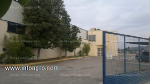 En venta  terreno con nave industrial