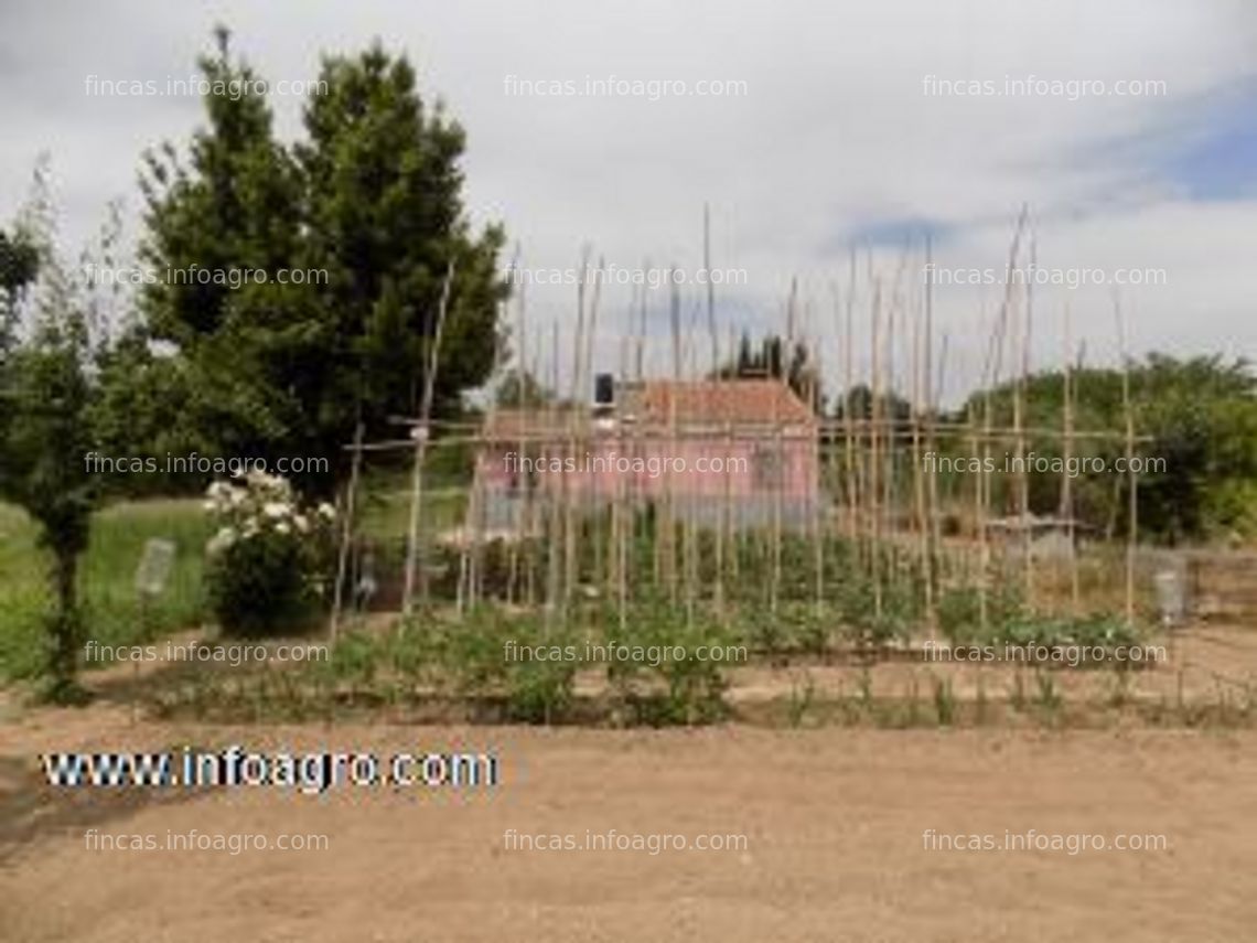 Fotos de Se vende terreno rustico de regadio, en juneda lleida