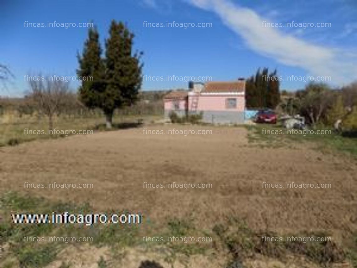 Fotos de Se vende terreno rustico de regadio, en juneda lleida