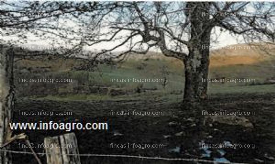 Fotos de Se vende lote de fincas en prado (teverga - principado de asturias)