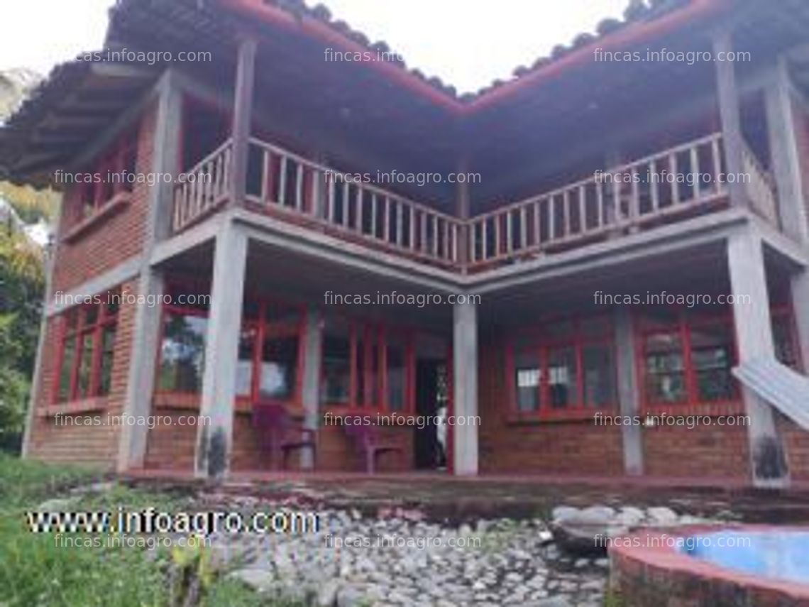 Fotos de En venta  finca de 9 hectáreas, dos casas, a 5 minutos de el bordo - cauca