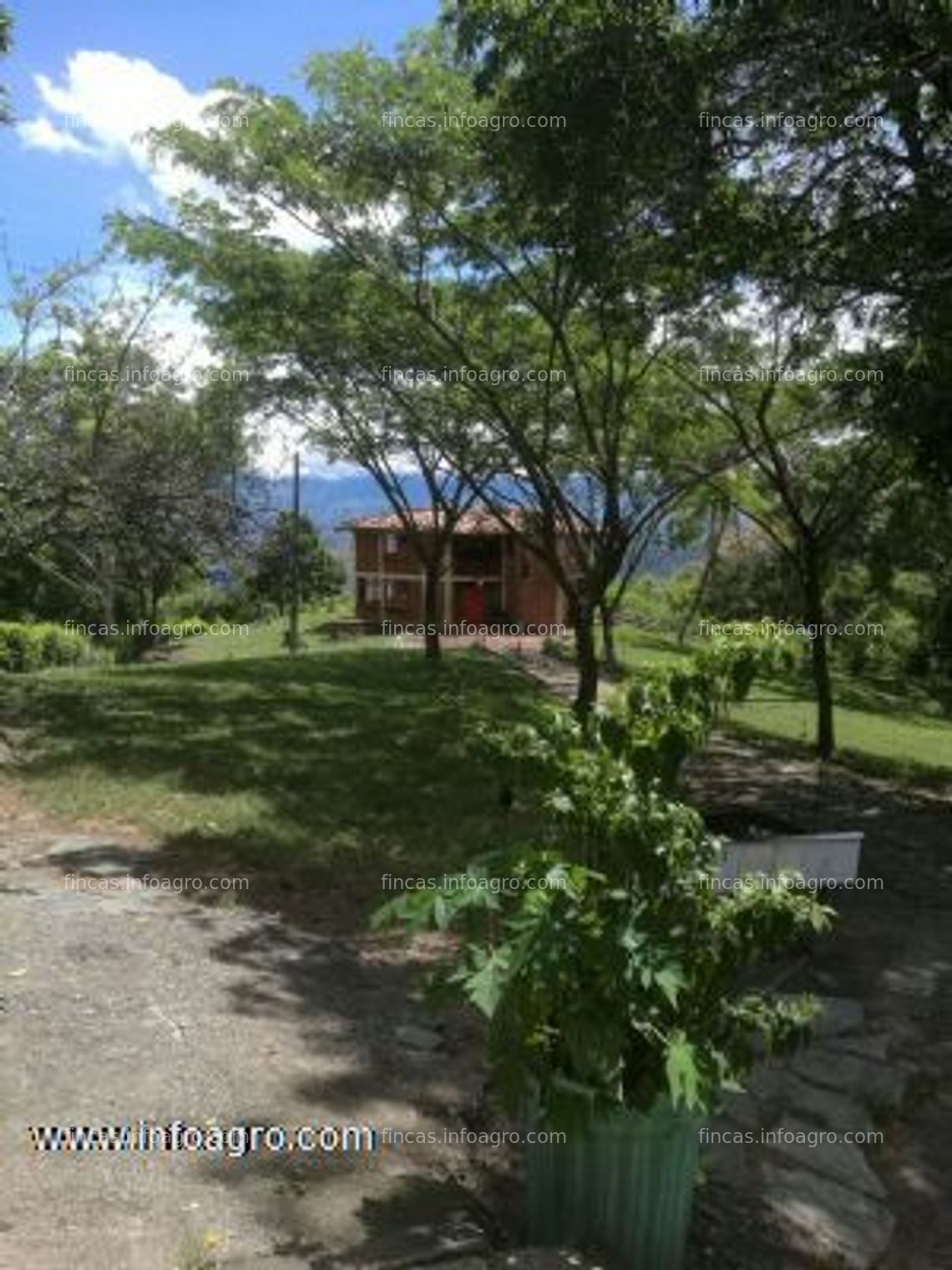 Fotos de En venta  finca de 9 hectáreas, dos casas, a 5 minutos de el bordo - cauca