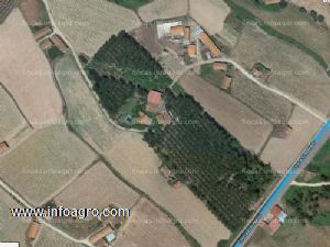 En venta  finca rústica en losar de la vera