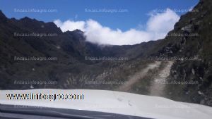 Vendo hacienda con 19,900 hectáreas a 35 kms de la ciudad de huánuco, perú para cultivo, reforestación, y/o ganadería, o ser utilizada como colateral o garantía en hipoteca para financiar un proyecto