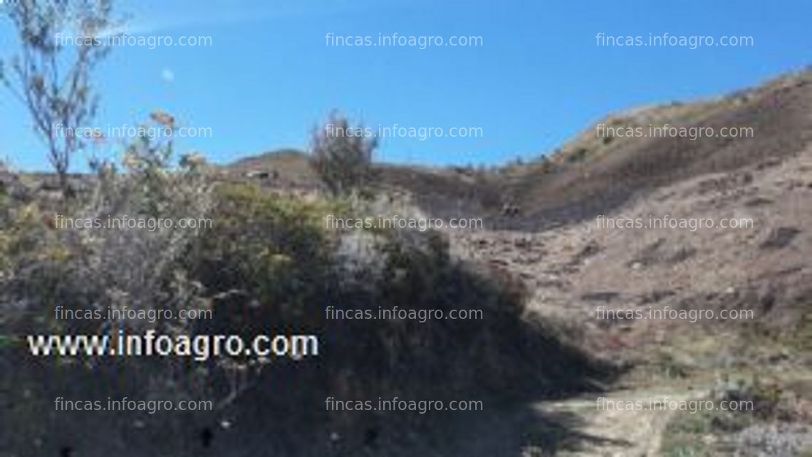 Fotos de Vendo hacienda  con 19,900 hectáreas a 35 kms de la ciudad de huánuco, perú para cultivo, reforestación, y/o ganadería, o ser utilizada como colateral o garantía en hipoteca para financiar un proyecto