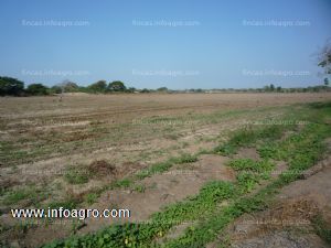 Se vende mocupe terreno agrícola 5.2 hc.